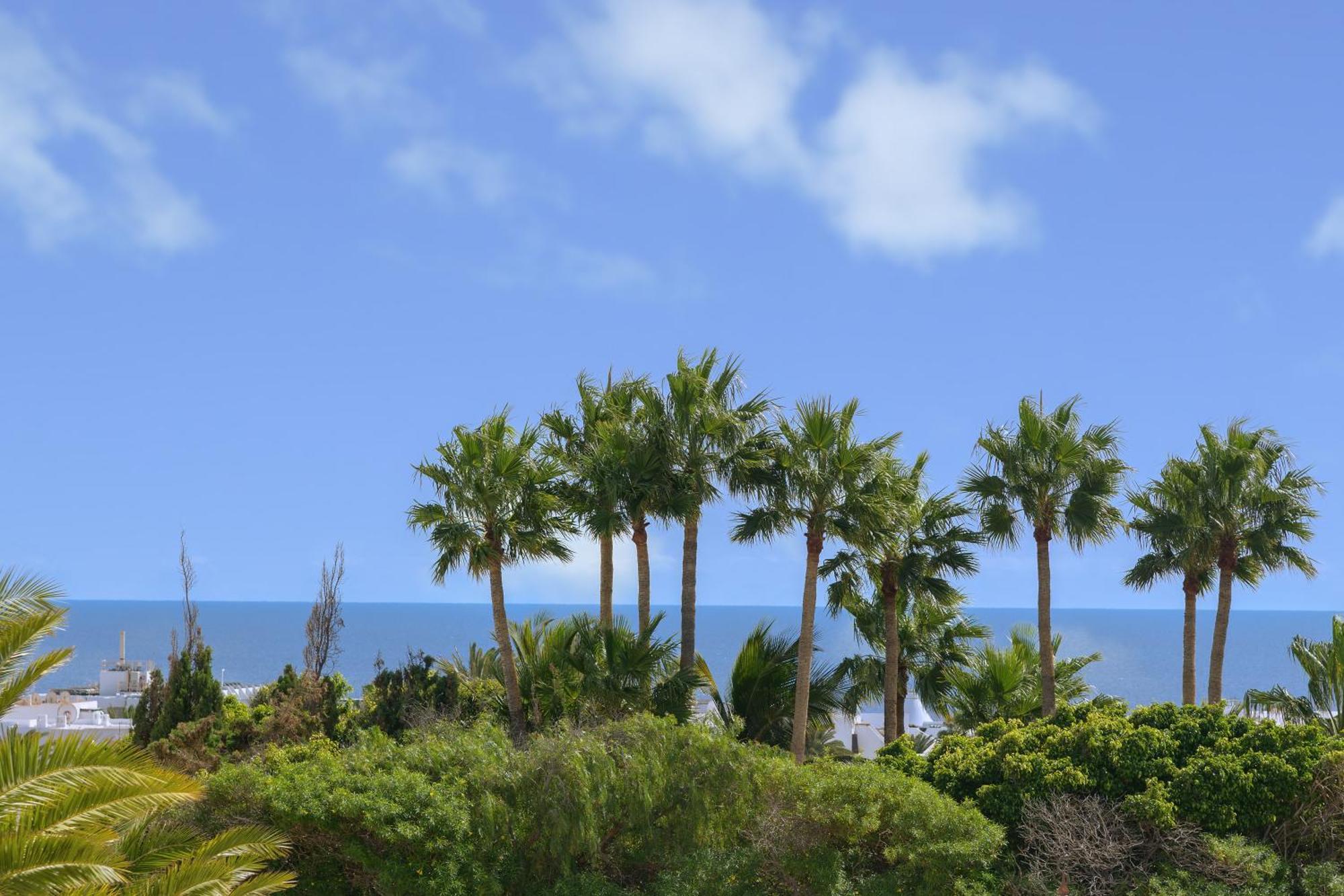 Oasis De Lujo - Luxury Boutique Villa コスタ・テギセ エクステリア 写真